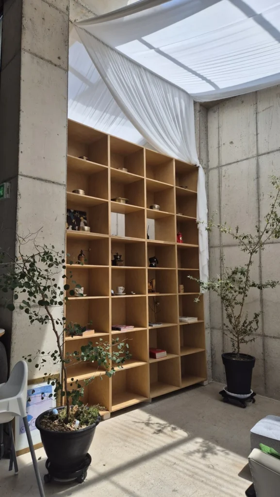 Plywood display shelves and white fabric draping under a skylight at La Montagna